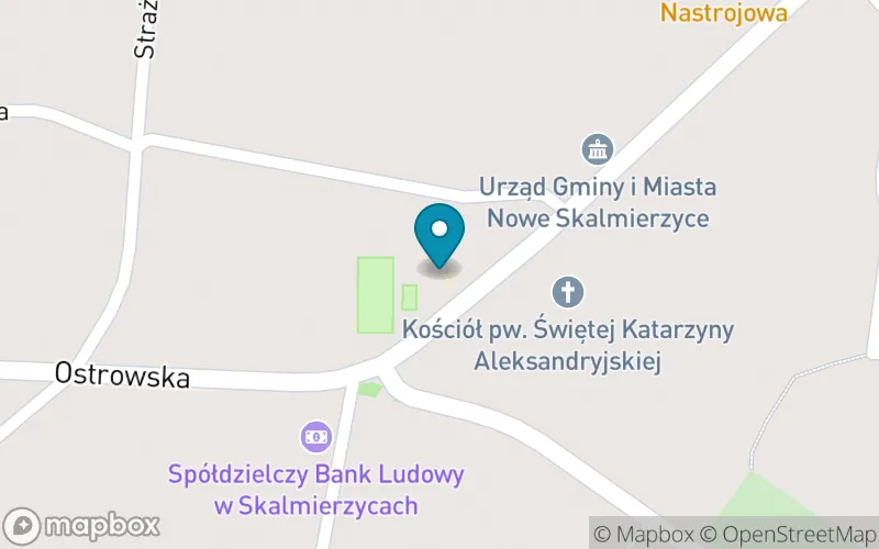 Lokalizacja: Szkoła Podstawowa Imienia Adama Mickiewicza w Skalmierzycach