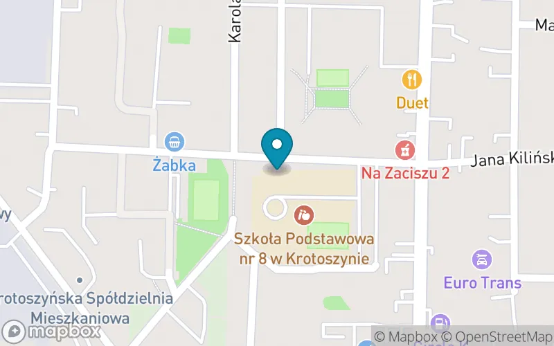 Lokalizacja: Szkoła Podstawowa nr 8 z Oddziałami Dwujęzycznymi im. Marii Skłodowskiej- Curie w Krotoszynie