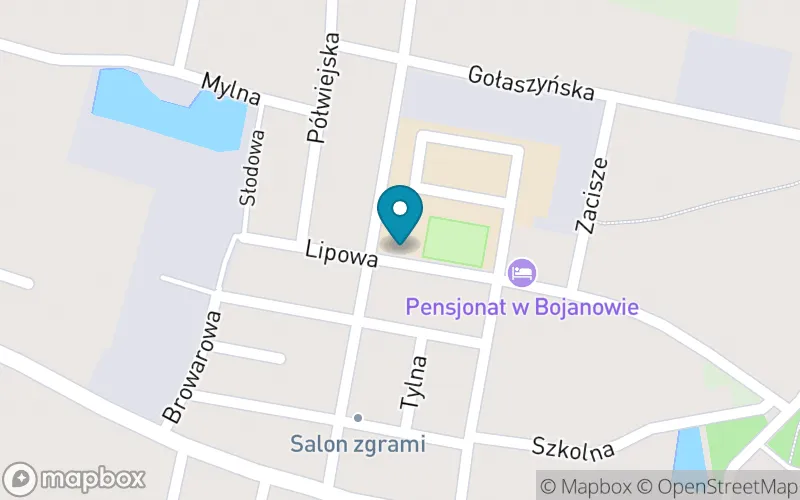 Lokalizacja: Szkoła Podstawowa im. Bł. Edmunda Bojanowskiego w Bojanowie