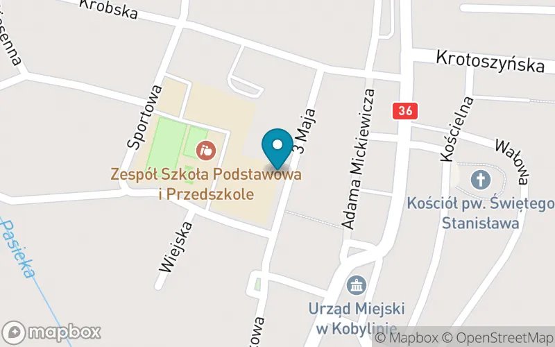 Lokalizacja: Szkoła Podstawowa im. Juliana Tuwima w Kobylinie