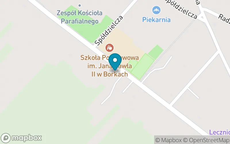 Lokalizacja: Szkoła Podstawowa im. Jana Pawła II w Borkach