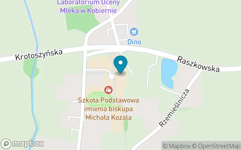 Lokalizacja: Szkoła Podstawowa im. Biskupa Michała Kozala w Kobiernie