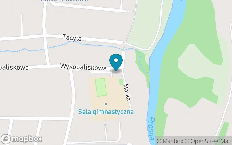 Lokalizacja: Szkoła Podstawowa nr 15 im. Szarych Szeregów w Kaliszu