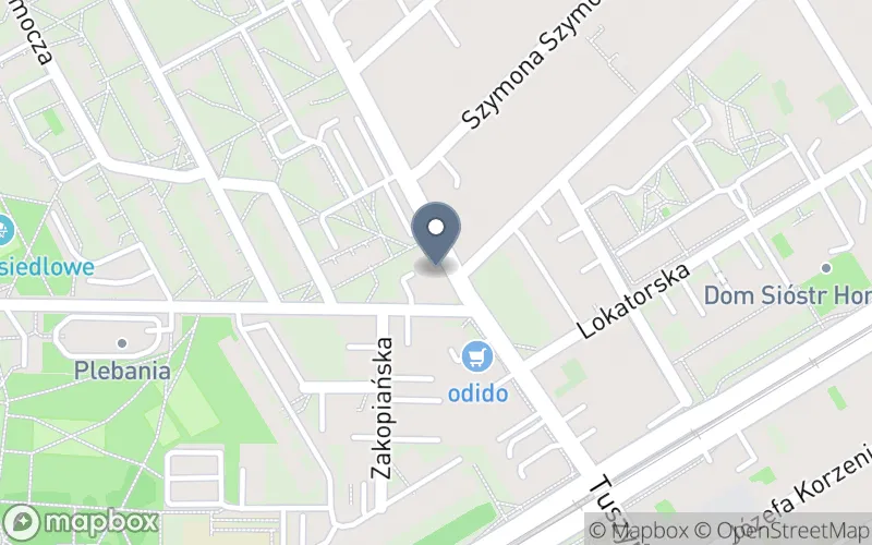 Lokalizacja: Studium Języków Obcych "Alma"