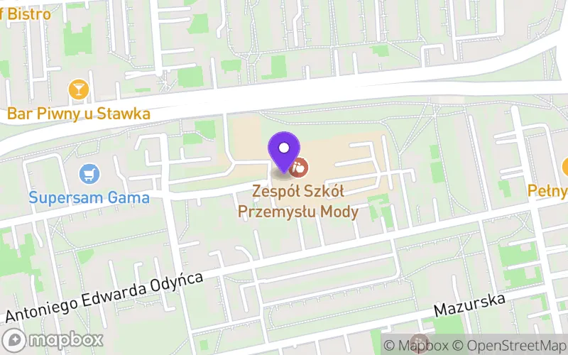Lokalizacja: Technikum nr 12 w Zespole Szkół Przemysłu Mody im. Błogosławionej Matki Teresy z Kalkuty