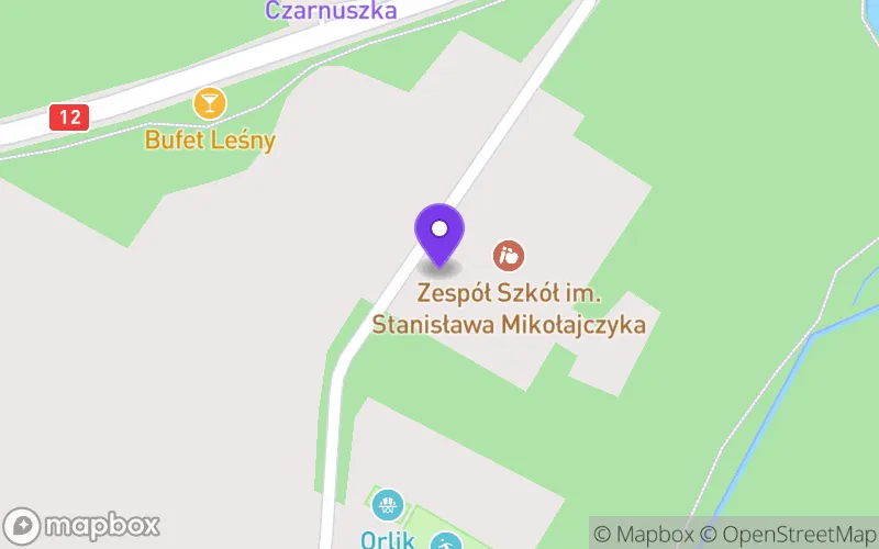 Lokalizacja: Technikum w Opatówku