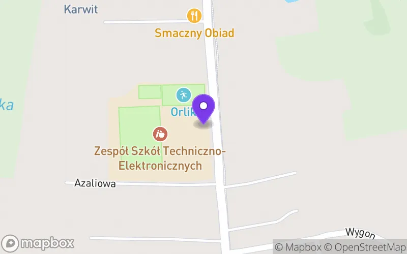 Lokalizacja: Technikum nr 4 im. Ks. Józefa Sieradzana w Kaliszu