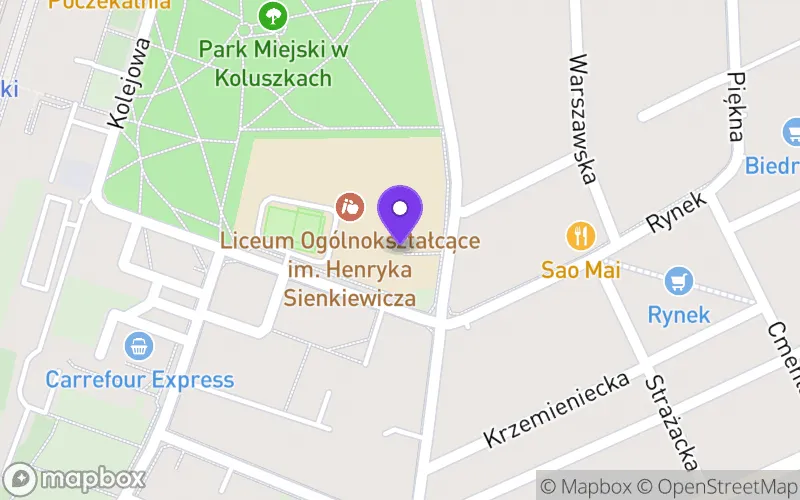 Lokalizacja: I Liceum Ogólnokształcące im. Henryka Sienkiewicza w Koluszkach