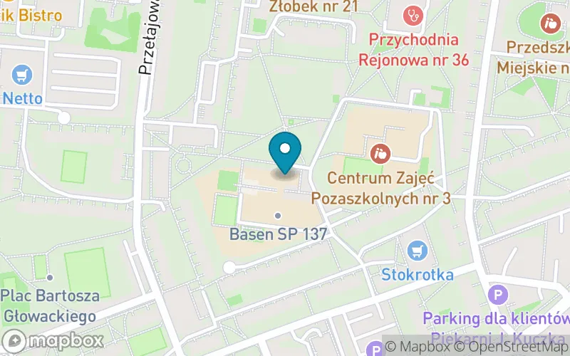Lokalizacja: Szkoła Podstawowa nr 137 im. Prof. Aleksandra Kamińskiego