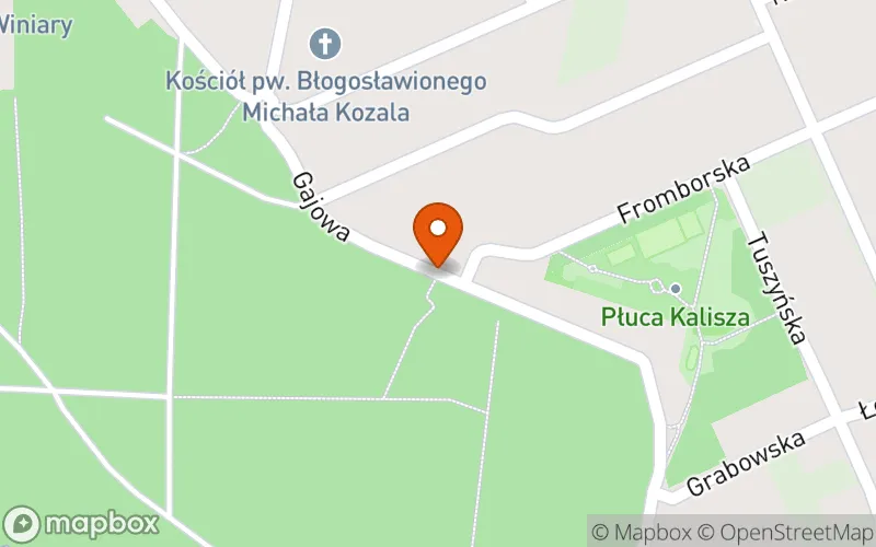 Lokalizacja: Leśny Klubik Malucha