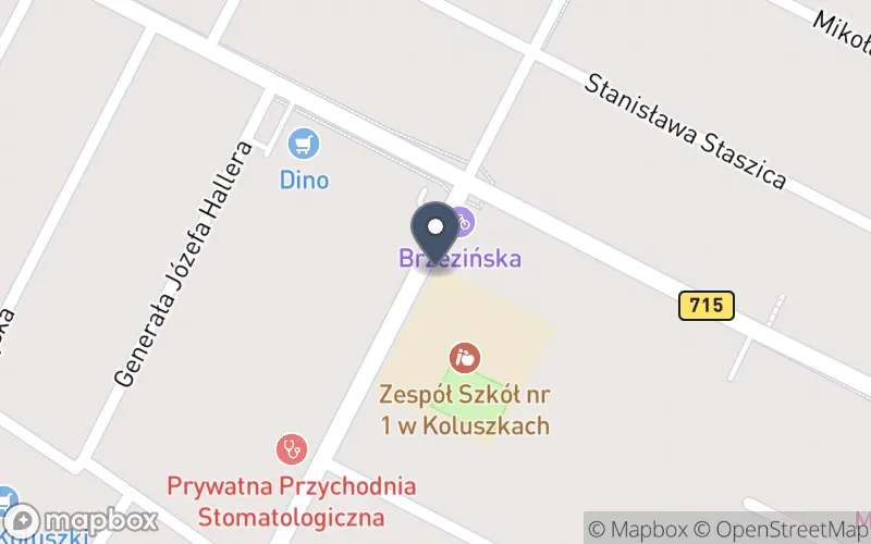 Lokalizacja: Zespół Szkół nr 1 w Koluszkach
