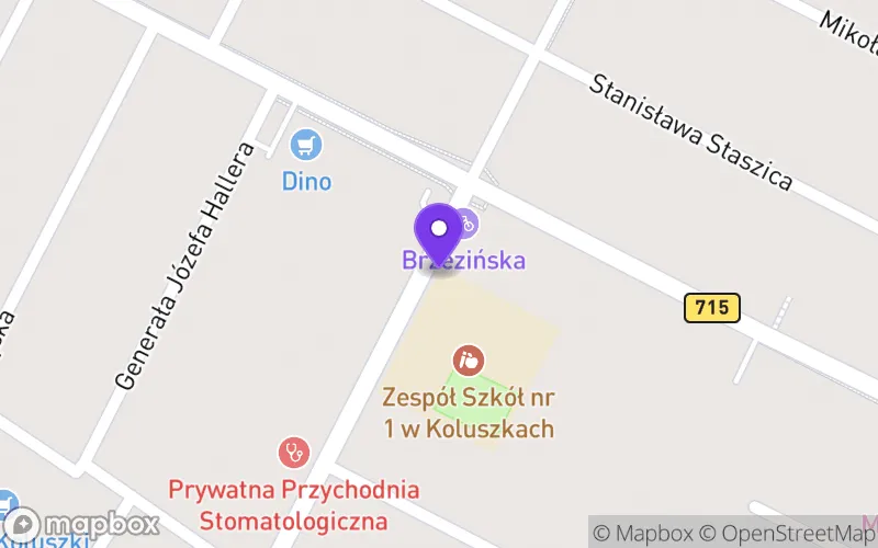 Lokalizacja: Technikum nr 1 w Koluszkach