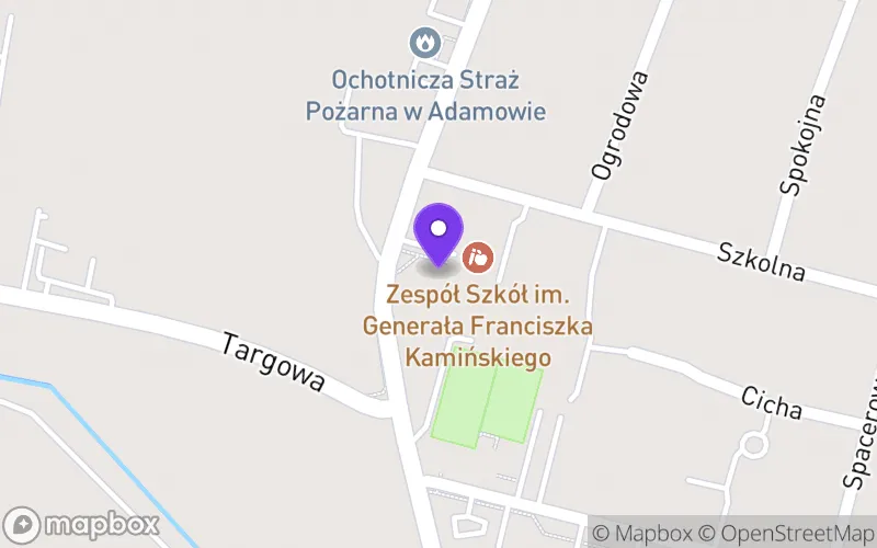 Lokalizacja: Technikum w Adamowie