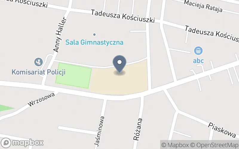 Lokalizacja: Niepubliczne Centrum Kształcenia Ustawicznego "Rozwój" w Kożuchowie