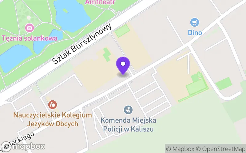 Lokalizacja: Technikum Specjalne nr 5 dla Młodzieży Słabo Słyszącej i Niesłyszącej w Kaliszu
