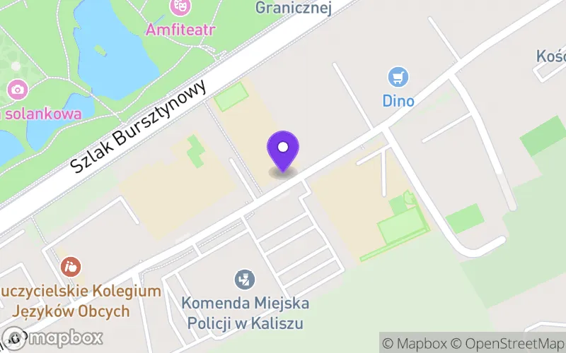 Lokalizacja: Branżowa Szkoła I Stopnia Specjalna nr 5 w Kaliszu