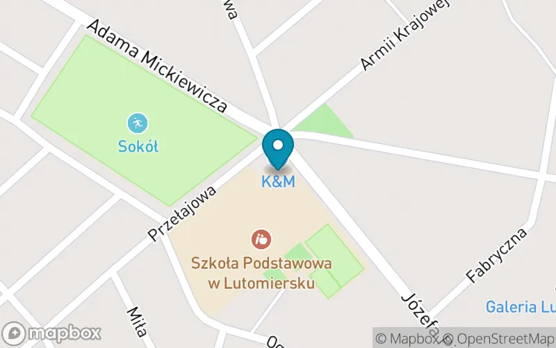 Lokalizacja: Szkoła Podstawowa im. Orła Białego w Lutomiersku