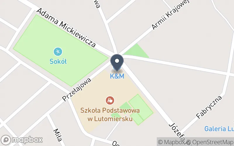 Lokalizacja: Zespół Szkolno-Przedszkolny w Lutomiersku