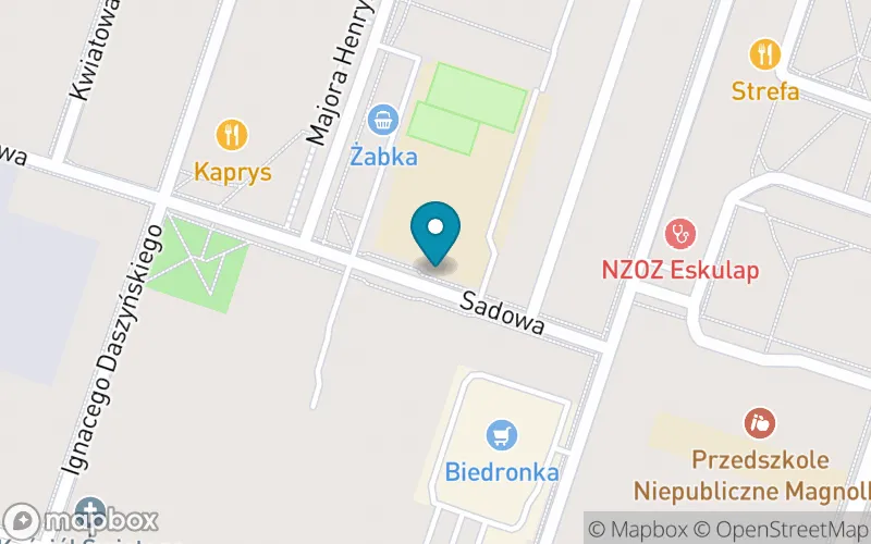 Lokalizacja: Szkoła Podstawowa nr 5 im. i Armii Wojska Polskiego w Konstantynowie Łódzkim