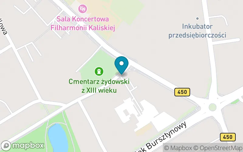 Lokalizacja: Prywatna Szkoła Podstawowa "Jagiellończyk"