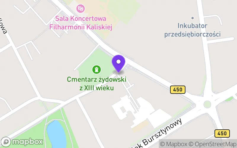 Lokalizacja: Liceum Ogólnokształcące "Jagiellończyk" w Kaliszu