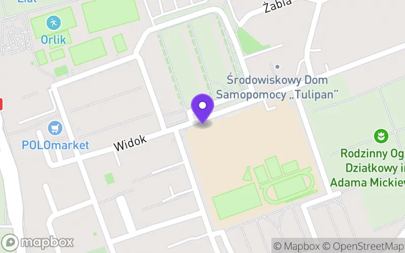 Lokalizacja: IV Liceum Ogólnokształcące im. Ignacego Jana Paderewskiego w Kaliszu