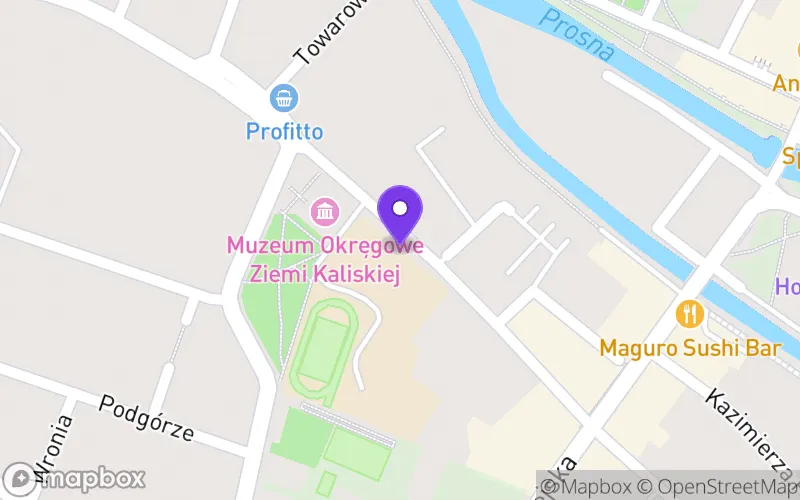 Lokalizacja: III Liceum Ogólnokształcące im. Mikołaja Kopernika w Kaliszu