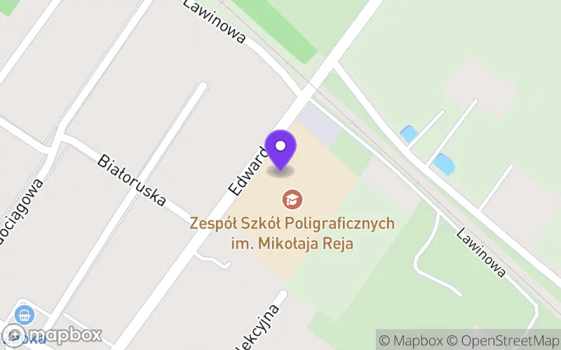 Lokalizacja: Technikum nr 18 Poligraficzne w Zespole Szkół Poligraficznych im. Mikołaja Reja