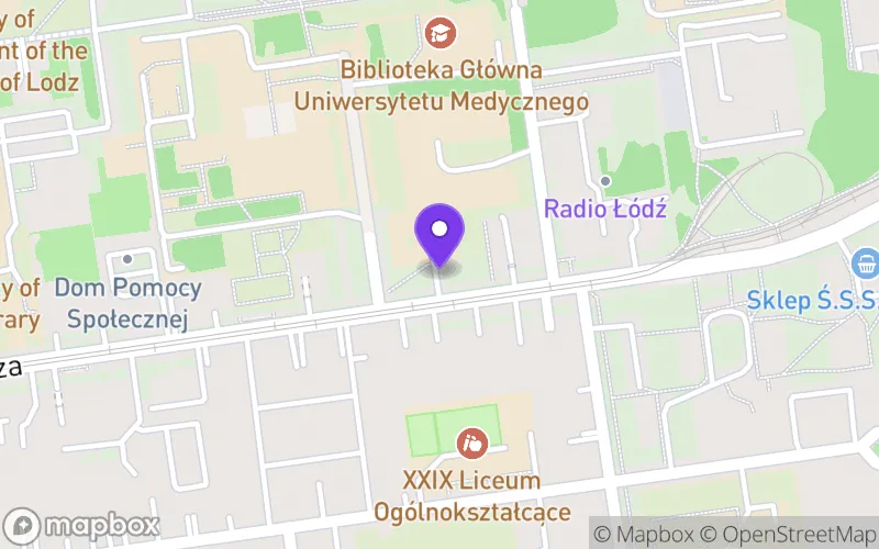 Lokalizacja: Technikum Automatyki i Robotyki im. Henryka Grohmana w Łodzi