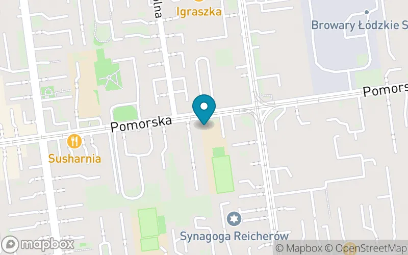 Lokalizacja: Szkoła Podstawowa nr 175 im. Henryka Ryla