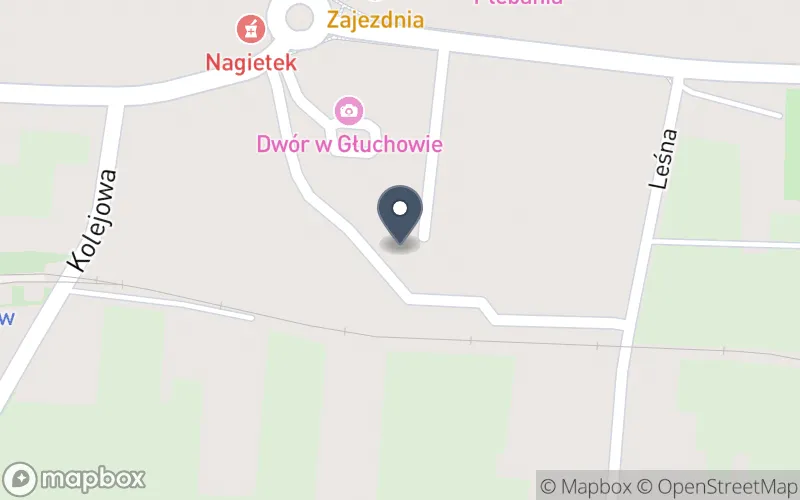 Lokalizacja: Zespół Szkół w Głuchowie