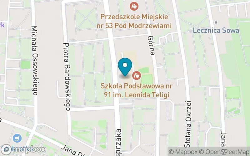 Lokalizacja: Szkoła Podstawowa nr 91 im. Leonida Teligi