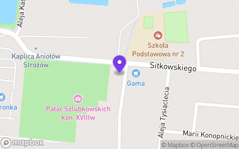 Lokalizacja: Liceum Ogólnokształcące dla Dorosłych ZDZ w Radzyniu Podlaskim