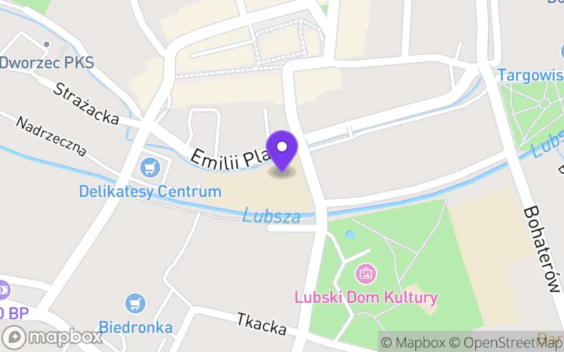 Lokalizacja: Technikum nr 1