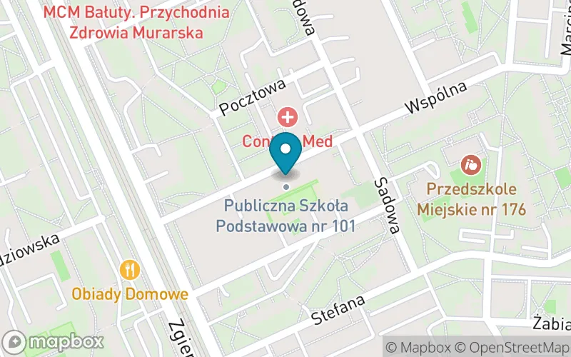 Lokalizacja: Szkoła Podstawowa nr 101 im. Jana Kochanowskiego
