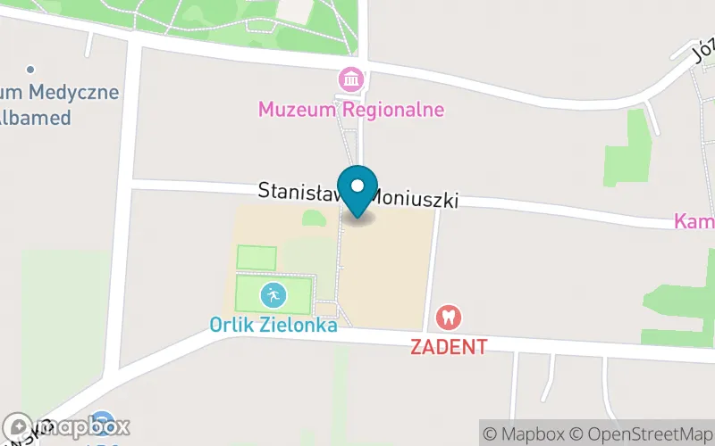 Lokalizacja: Szkoła Podstawowa nr 1 im. Kazimierza Wielkiego w Brzezinach