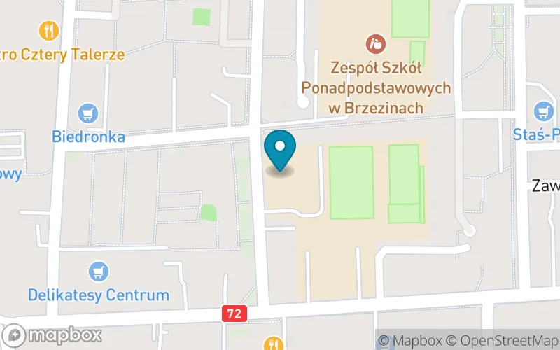 Lokalizacja: Szkoła Podstawowa nr 3 im. Władysława Stanisława Reymonta w Brzezinach