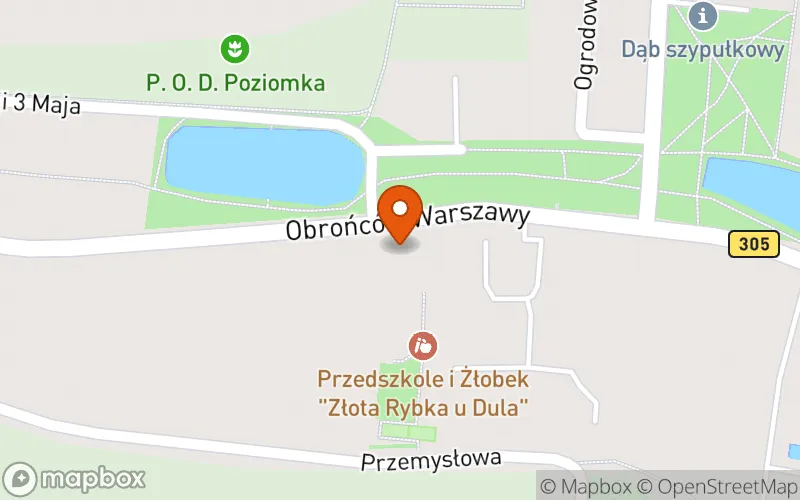 Lokalizacja: Niepubliczne Przedszkole i Żłobek "Złota Rybka u Dula"