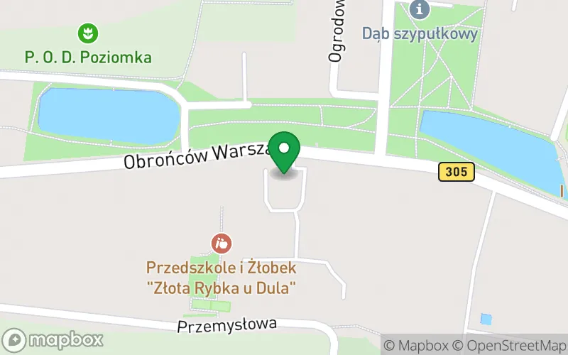 Lokalizacja: Niepubliczne Przedszkole "Złota Rybka u Dula"