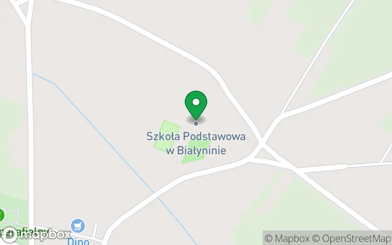 Lokalizacja: Punkt Przedszkolny w Białyninie