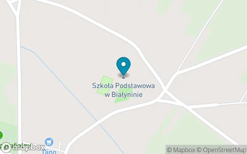 Lokalizacja: Szkoła Podstawowa w Białyninie