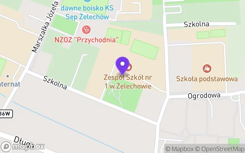 Lokalizacja: Liceum Ogólnokształcące im. Joachima Lelewela w Żelechowie