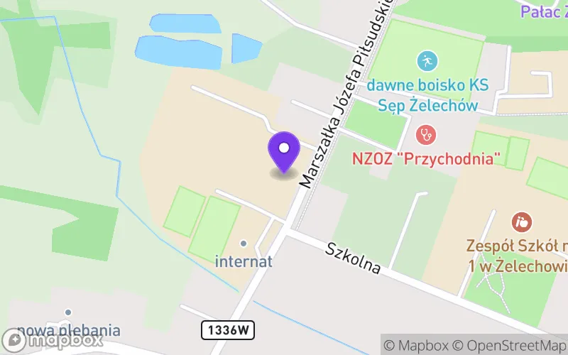 Lokalizacja: Technikum w Żelechowie