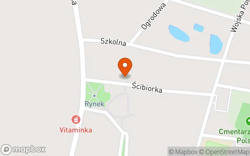 Lokalizacja: Klub dziecięcy "Boluś"