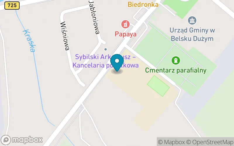 Lokalizacja: Publiczna Szkoła Podstawowa im. Jana Pawła II w Belsku Dużym