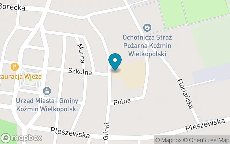 Lokalizacja: Szkoła Podstawowa nr 1 im. Strajku Dzieci Koźmińskich 1906/1907