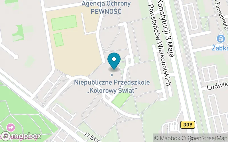 Lokalizacja: Niepubliczna Szkoła Podstawowa Kolorowy Świat w Lesznie