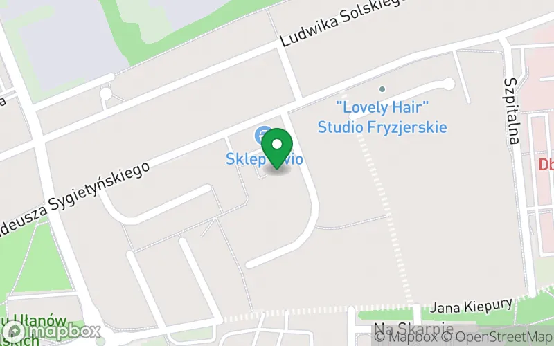 Lokalizacja: Przedszkole Miejskie nr 19 im. Leśna Kraina w Lesznie
