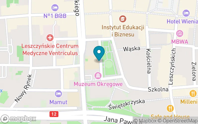 Lokalizacja: Szkoła Podstawowa Towarzystwa Salezjańskiego w Lesznie