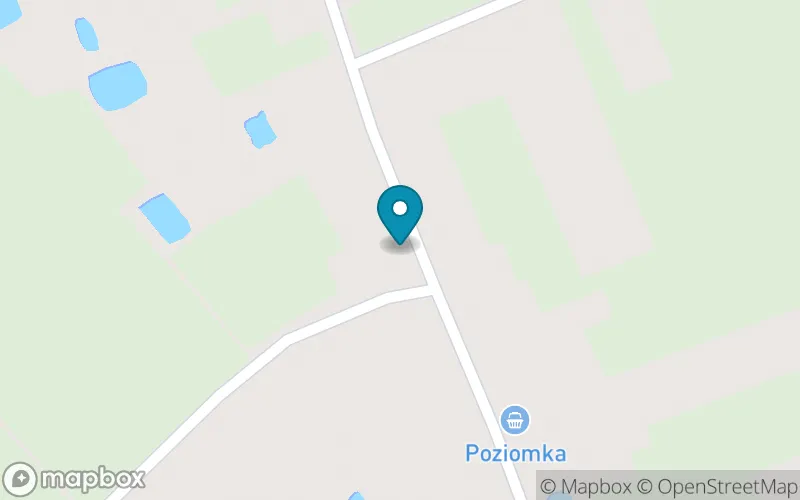 Lokalizacja: Publiczna Szkoła Podstawowa im. Kawalerów Orderu Uśmiechu w Budziszynku